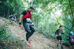 BIB: 
                            <button type="button" onclick="openModal(28160859)" class="btn btn-primary btn-sm float-right btn-popup" data-toggle="modal" data-target=".modal-high-quality">
                        <i class="fas fa-shopping-cart"></i> Add to Cart
                    </button>
                                            <button type="button" onclick="isThisMe(28160859, true)" class="btn btn-success btn-sm float-right btn-popup btn-isme hidden" data-toggle="tooltip" data-placement="bottom" title="นี่คือรูปของคุณใช่ไหม คลิกที่นี่เพื่อเอาเข้าอัลบั้ม">
                        <i class="fas fa-plus"></i> Add to album
                    </button>
                    <button type="button" onclick="isThisMe(28160859, false)" class="btn btn-warning btn-sm float-right btn-popup btn-isnotme hidden">
                        <i class="fas fa-ban"></i> Remove from album
                    </button>